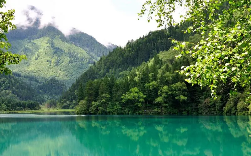 高精度无人化
